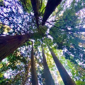 Meet your Posher, Gavin